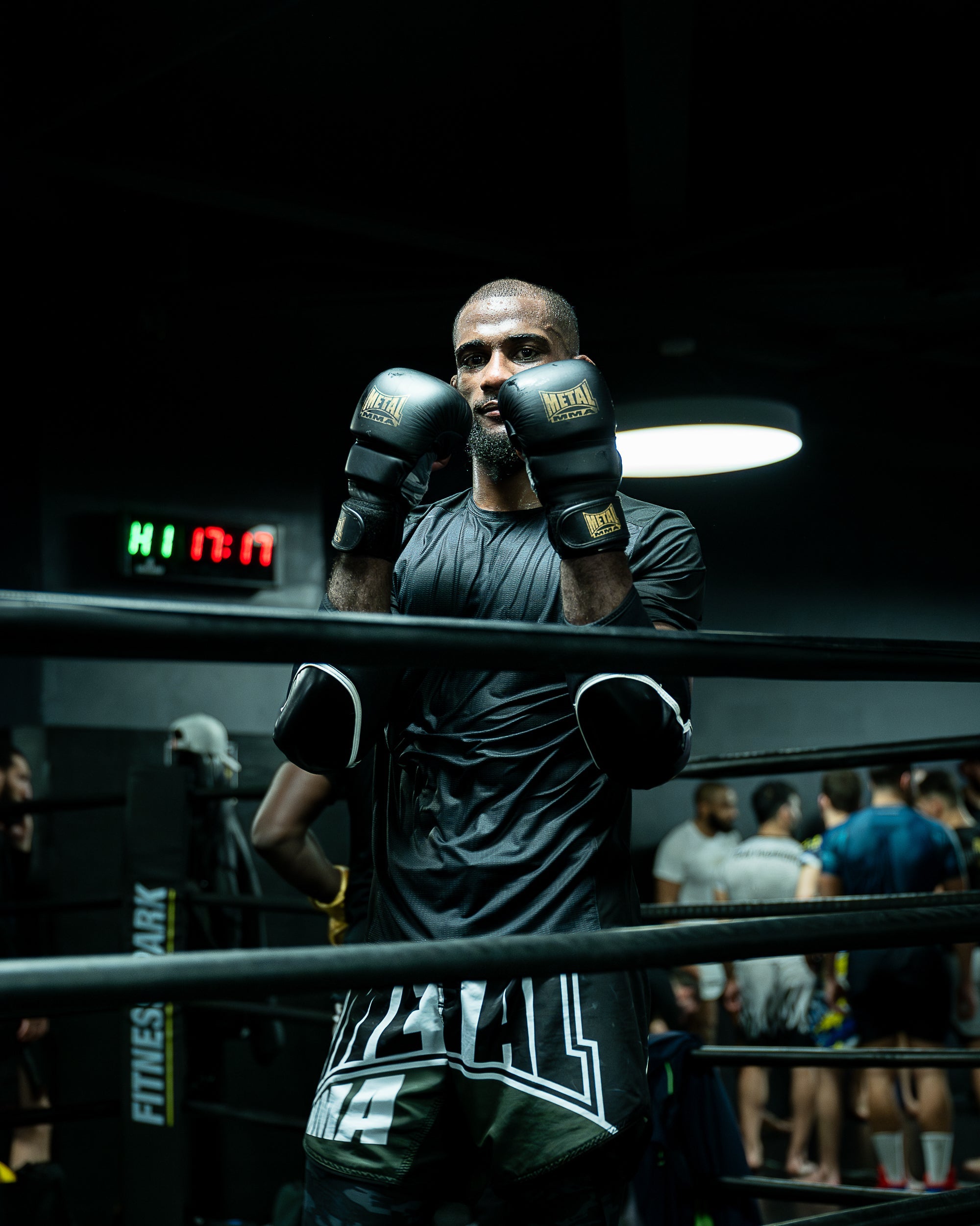 Guantes de Entrenamiento para Artes Marciales Mixtas Legacy