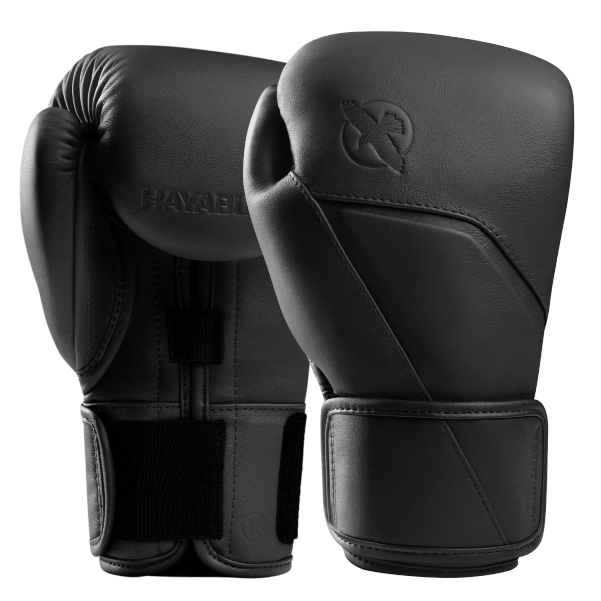 Pair of Hayabusa E1 Black Onyx Leather Boxing Gloves, Ergonomic Design for Beginners and Intermediates