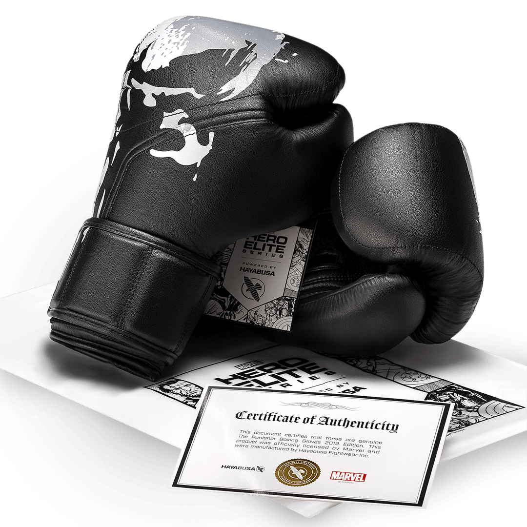 Foto da Hayabusa oficial