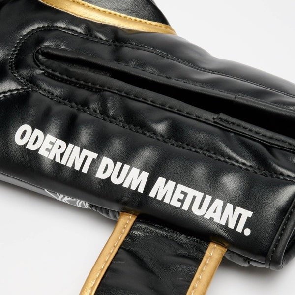 Close da escrita Oderint Dum Metuant na manga da luva de boxe