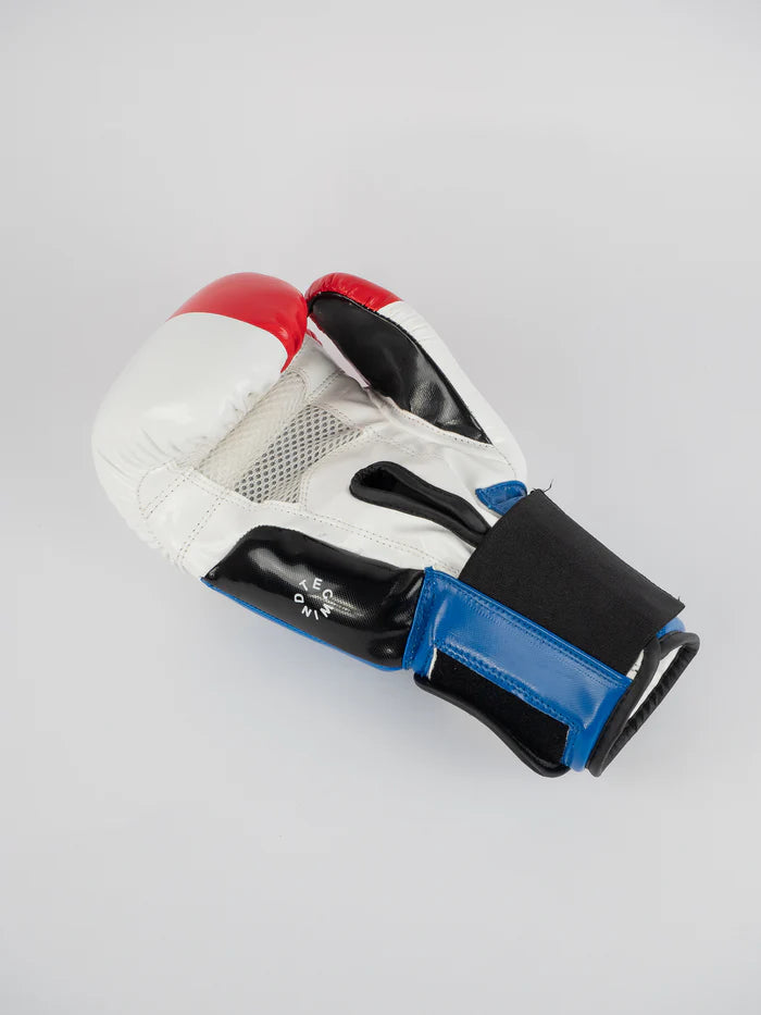 Dettaglio del palmo ventilato con tecnologia WindTec guantoni Metal Boxe tricolore