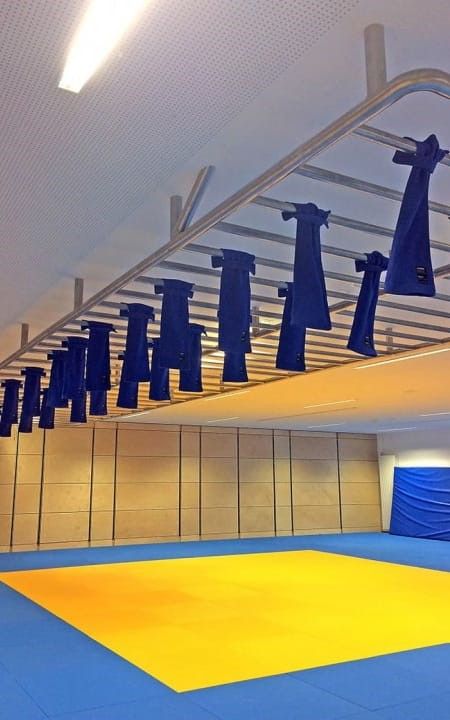 Paar Judo-Grip-Trainer mit Moskito-Schlaufe zum Aufhängen an einer Klimmzugstange