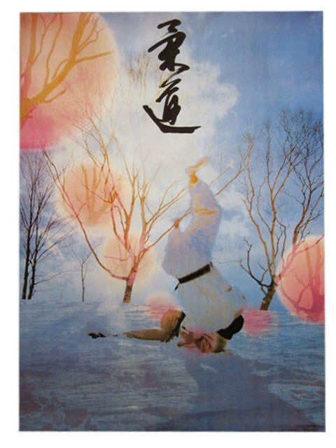 Poster Didattici Arti Marziali Judo e Karate Striking