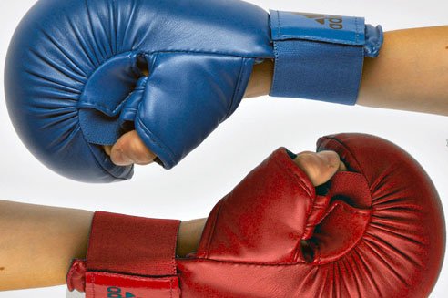 GUANTI DA KARATE & TAEKWONDO BAMBINO - Fight Club Store