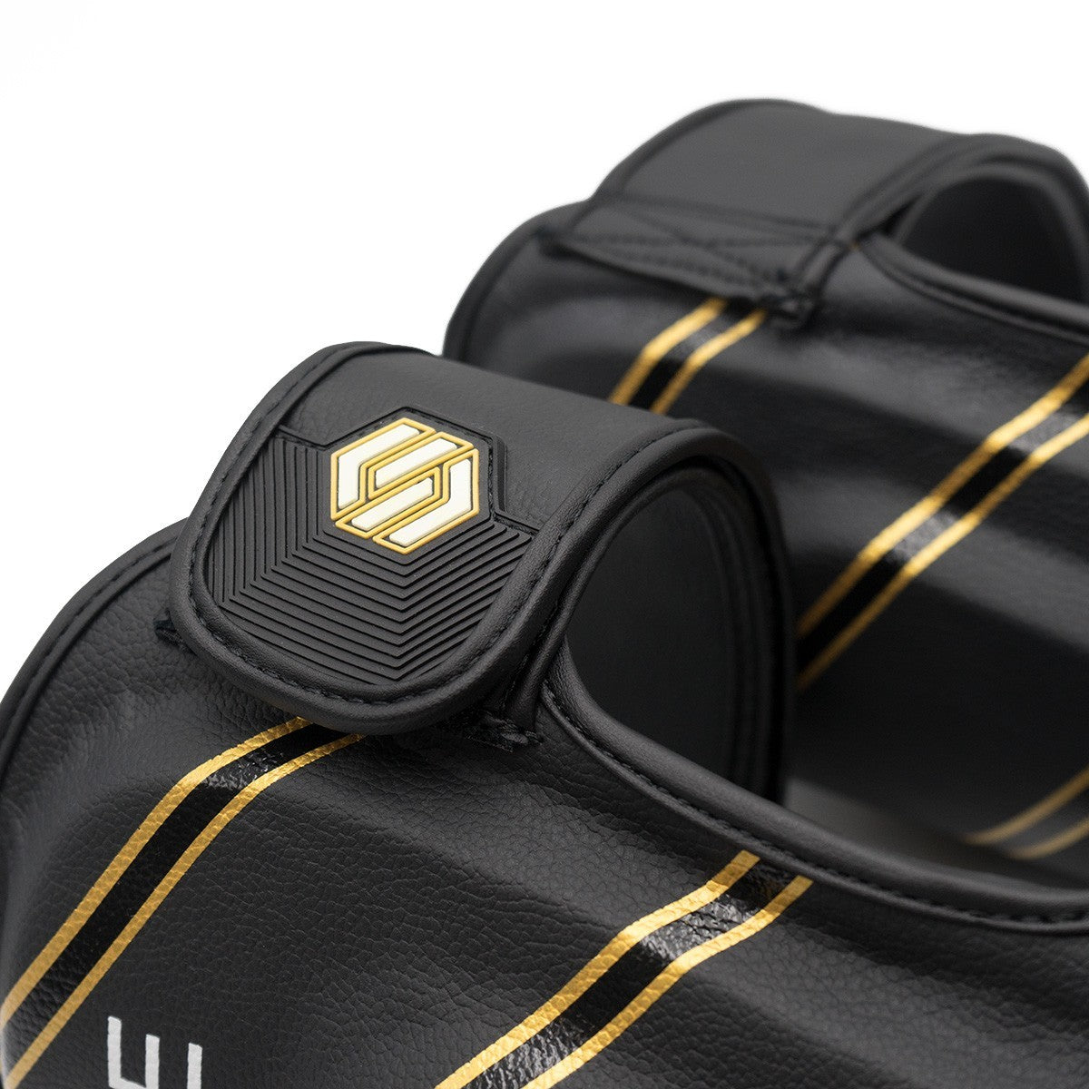 Paracosce Sparring Fujimae