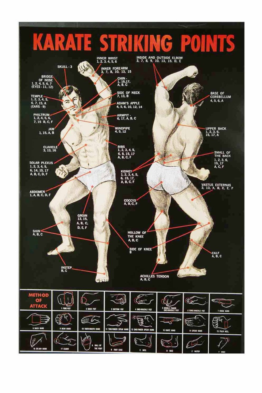 Educational Posters Martial Arts Judo and Karate Striking