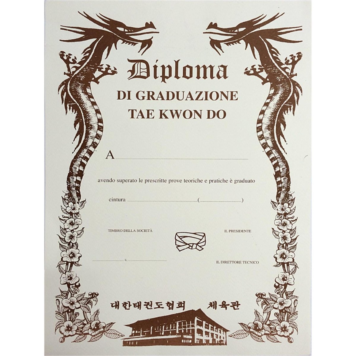 Diploma Taekwondo per Passaggio Cintura - Fight Club Store