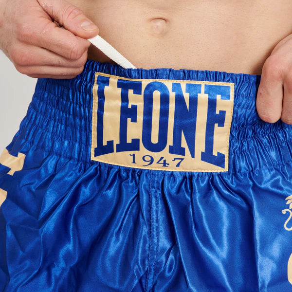 Pantaloncini Muay Thai Kick Boxing Leone DNA