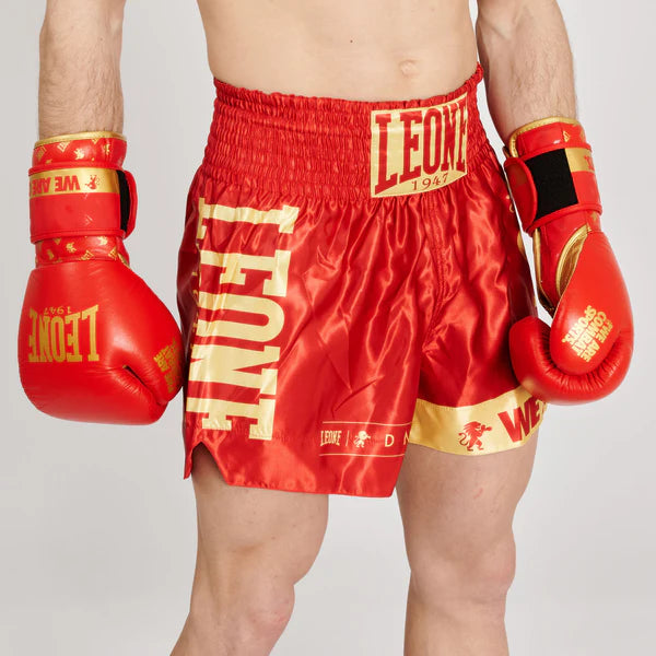Pantaloncini Muay Thai Kick Boxing Leone DNA