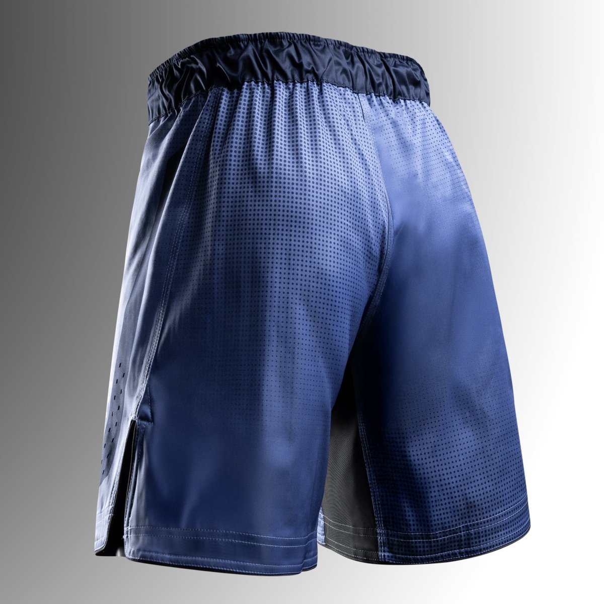 Rückansicht der blauen Hayabusa Core Full-Length MMA Shorts mit verstärkten Nähten