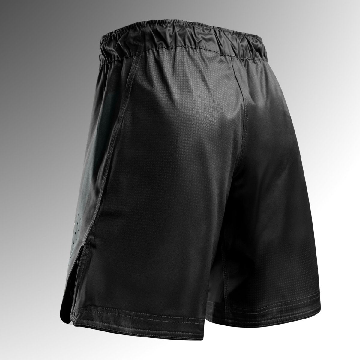 Rückansicht der schwarzen Hayabusa Core Full-Length MMA-Shorts im klassischen Longboard-Short-Stil
