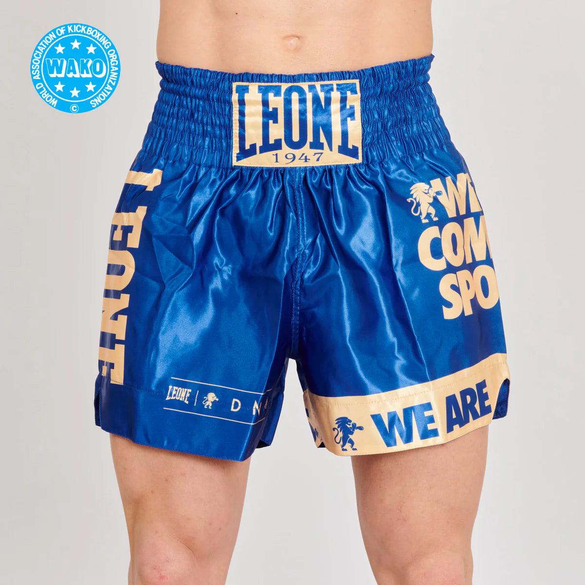 Pantaloncino Kick Boxing WAKO Leone