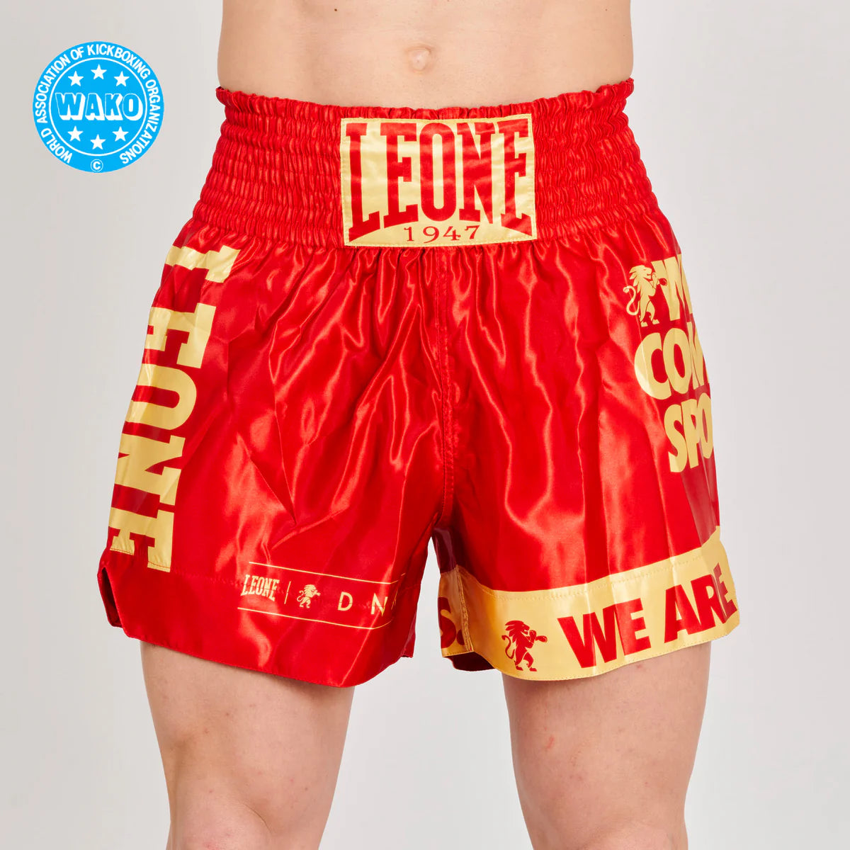 Pantaloncino Kick Boxing WAKO Leone