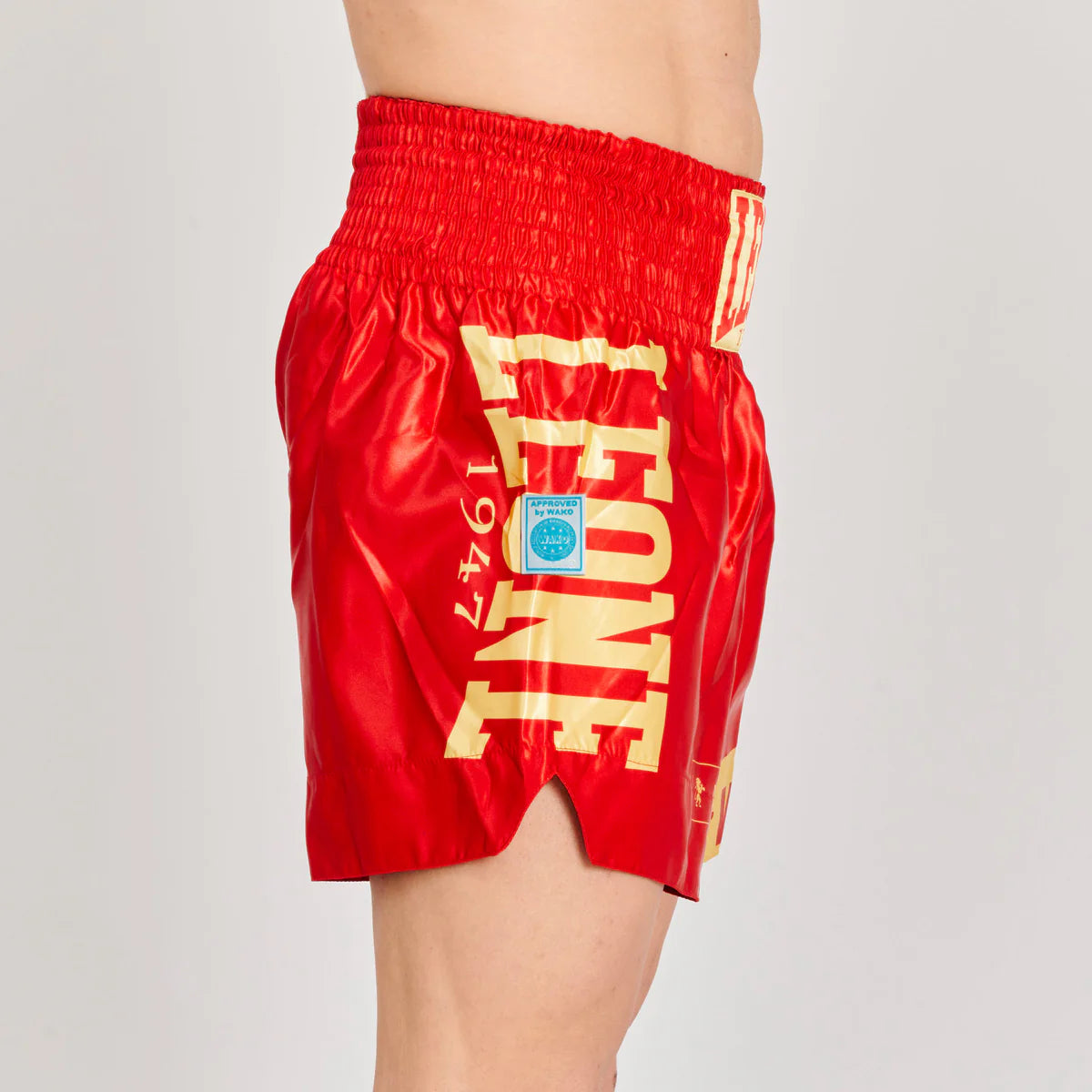 Pantaloncino Kick Boxing WAKO Leone