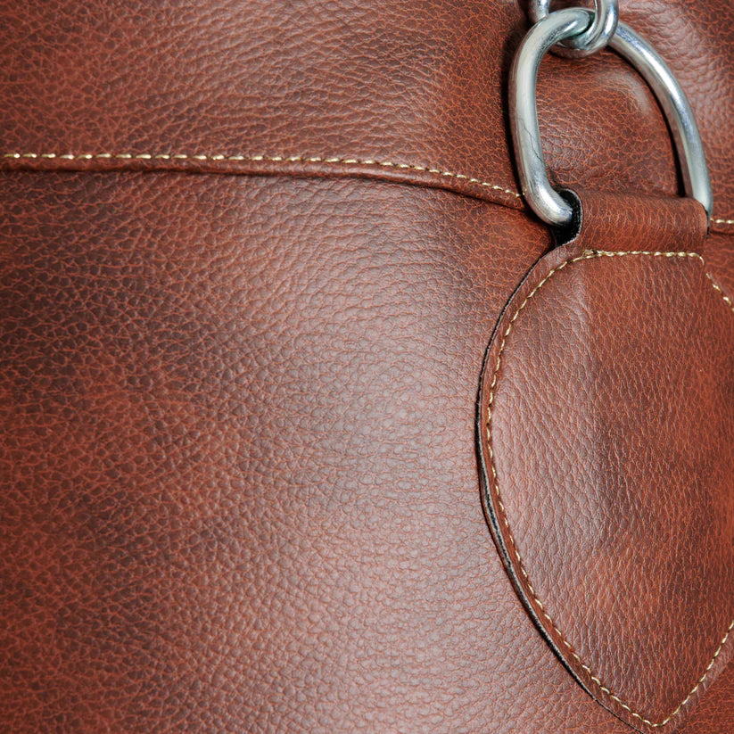 Jumbo 80kg Bag Zeus Lion