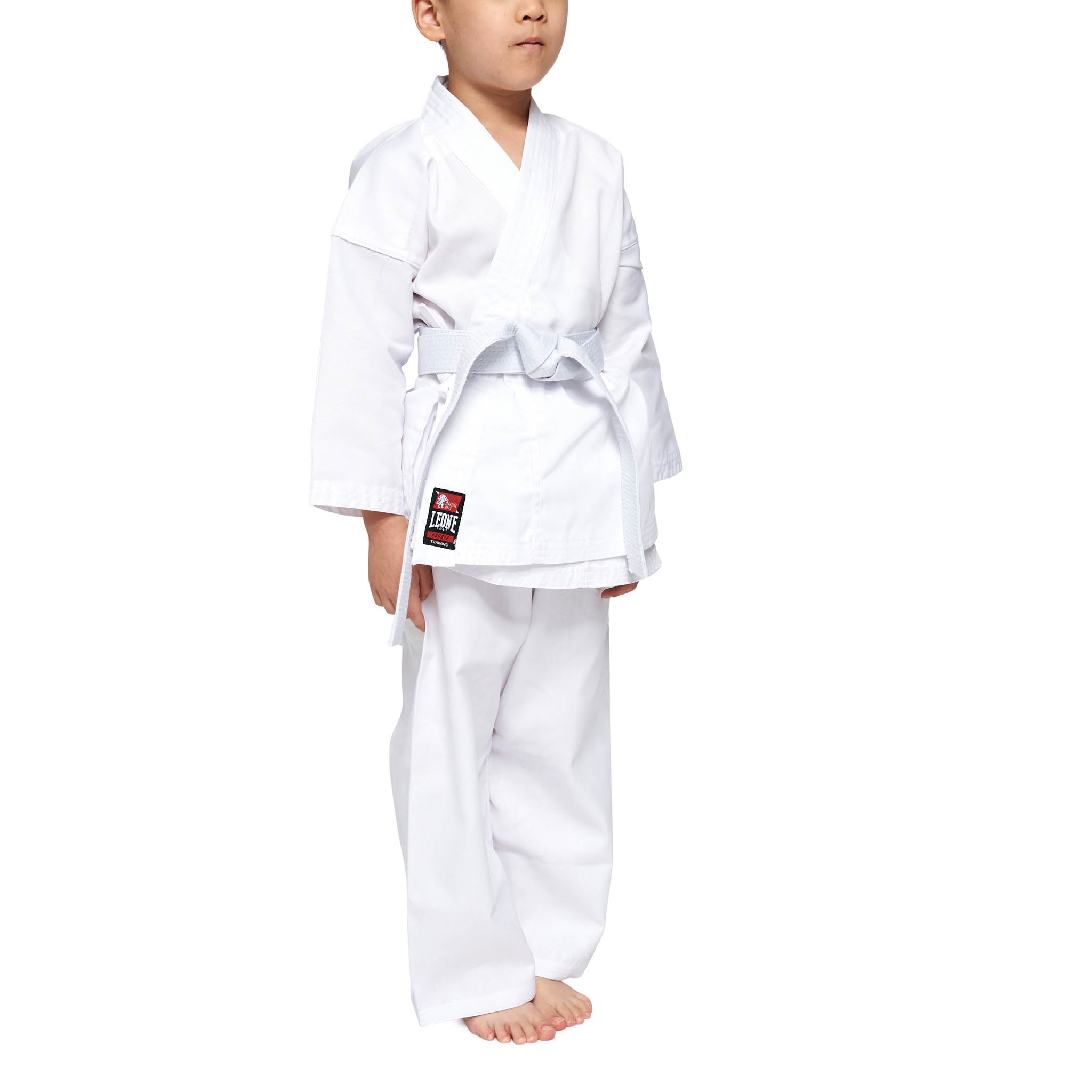 Leone Karategi Training