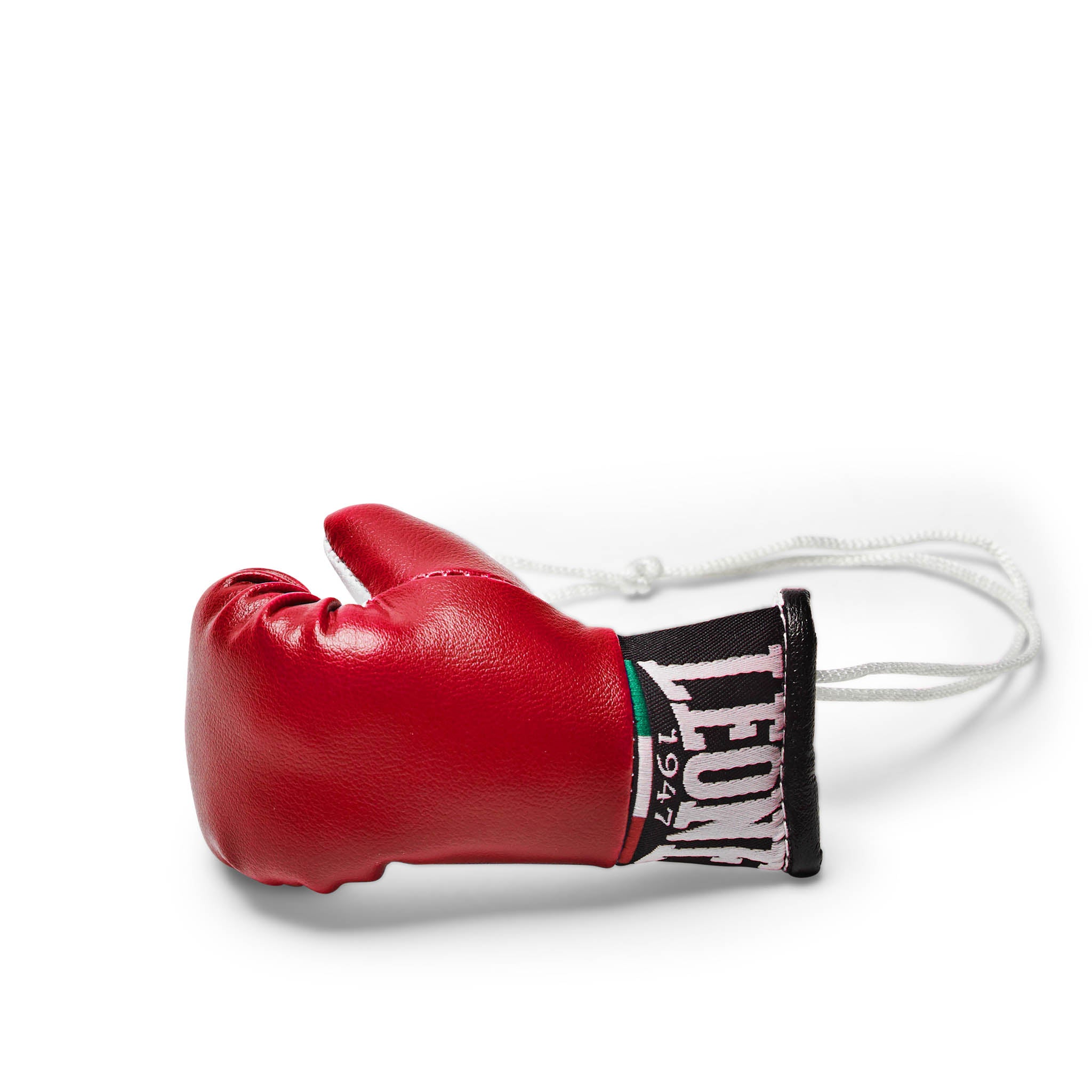 Guanti Portachiavi da Auto Leone